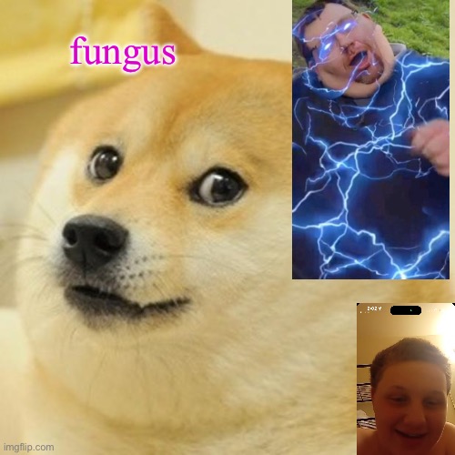 Doge | fungus | image tagged in memes,doge | made w/ Imgflip meme maker