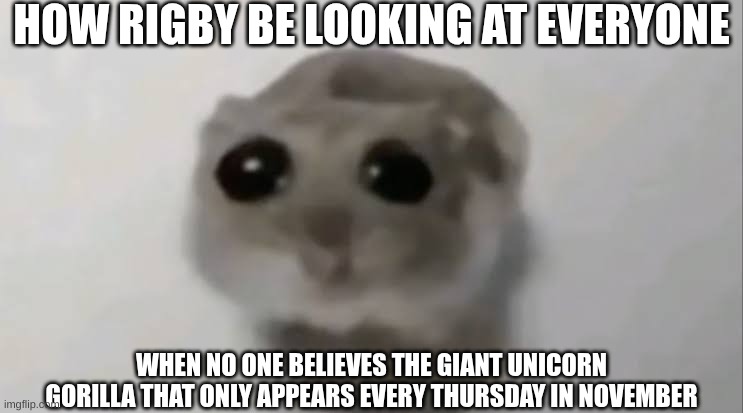 Regular Show ahh moment | HOW RIGBY BE LOOKING AT EVERYONE; WHEN NO ONE BELIEVES THE GIANT UNICORN GORILLA THAT ONLY APPEARS EVERY THURSDAY IN NOVEMBER | image tagged in sad hamster,regular show,true story | made w/ Imgflip meme maker