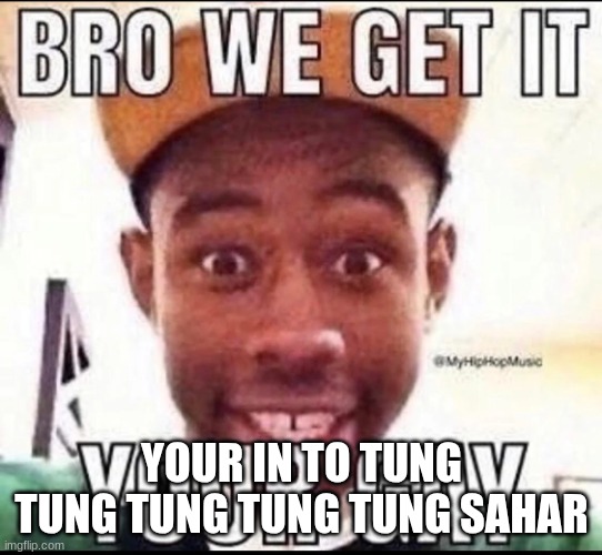 YOUR IN TO TUNG TUNG TUNG TUNG TUNG SAHAR | image tagged in bro we get it you're gay | made w/ Imgflip meme maker