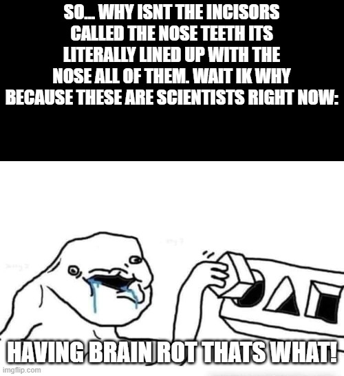 NOSE TEETH SCIENTIST DUMB | SO... WHY ISNT THE INCISORS CALLED THE NOSE TEETH ITS LITERALLY LINED UP WITH THE NOSE ALL OF THEM. WAIT IK WHY BECAUSE THESE ARE SCIENTISTS RIGHT NOW:; HAVING BRAIN ROT THATS WHAT! | image tagged in stupid dumb drooling puzzle | made w/ Imgflip meme maker