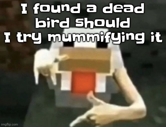 gangcken | I found a dead bird should I try mummifying it | image tagged in gangcken | made w/ Imgflip meme maker