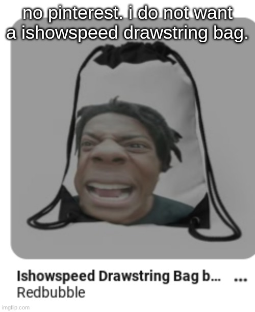 pinterest ads are so silly | no pinterest. i do not want a ishowspeed drawstring bag. | made w/ Imgflip meme maker