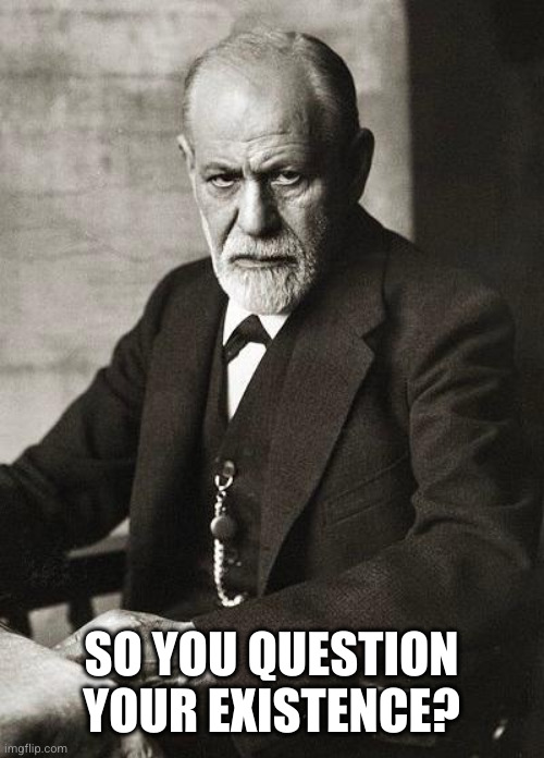 Freud | SO YOU QUESTION YOUR EXISTENCE? | image tagged in freud | made w/ Imgflip meme maker
