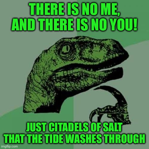Philosoraptor | THERE IS NO ME, AND THERE IS NO YOU! JUST CITADELS OF SALT THAT THE TIDE WASHES THROUGH | image tagged in memes,philosoraptor | made w/ Imgflip meme maker