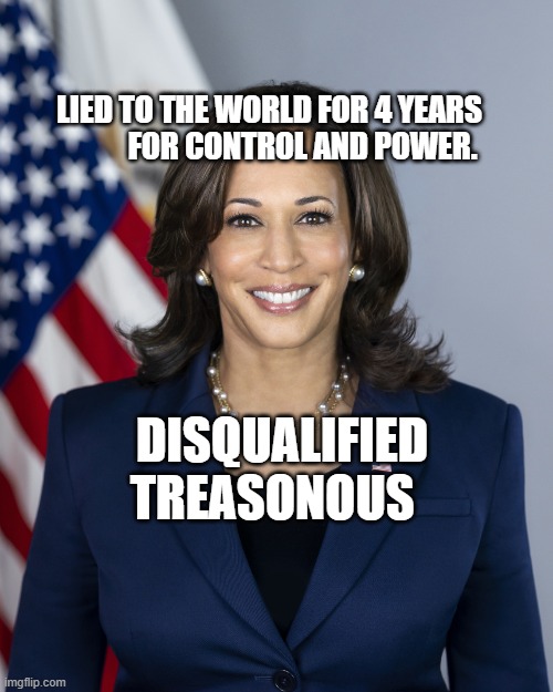 Vice President Kamala Harris | LIED TO THE WORLD FOR 4 YEARS             FOR CONTROL AND POWER. DISQUALIFIED TREASONOUS | image tagged in vice president kamala harris | made w/ Imgflip meme maker