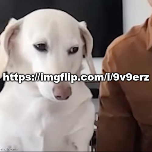 uh | https://imgflip.com/i/9v9erz | image tagged in uh | made w/ Imgflip meme maker