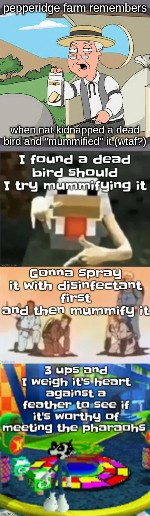 pepperidge farm remembers; when nat kidnapped a dead bird and "mummified" it (wtaf?) | image tagged in memes,pepperidge farm remembers | made w/ Imgflip meme maker