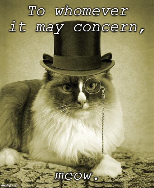 fancy cat  | To whomever it may concern, meow. | image tagged in fancy cat,cat,funny,meme,sophisticat,meow | made w/ Imgflip meme maker