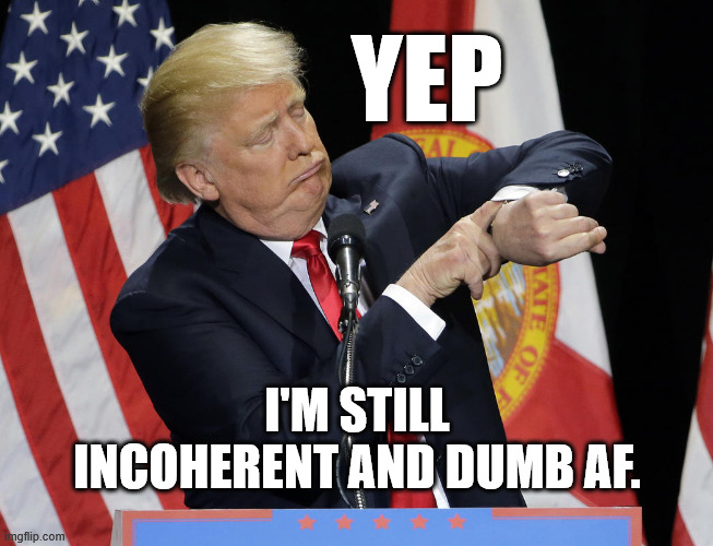 Trump watch | YEP; I'M STILL INCOHERENT AND DUMB AF. | image tagged in trump watch | made w/ Imgflip meme maker