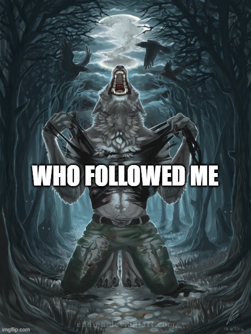 Wolf Howling | WHO FOLLOWED ME | image tagged in wolf howling | made w/ Imgflip meme maker