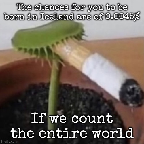 plant weeds | The chances for you to be born in Iceland are of 0.0045%; If we count the entire world | image tagged in plant weeds,msmg | made w/ Imgflip meme maker