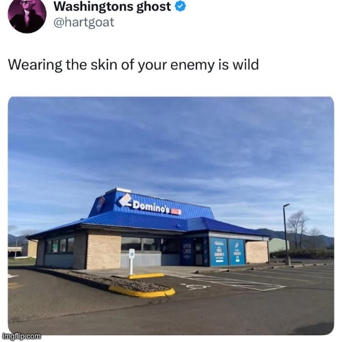 Trollolololol | image tagged in memes,funny,troll,skins,pizza | made w/ Imgflip meme maker