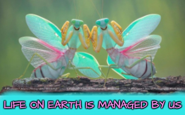 Hecklers | LIFE ON EARTH IS MANAGED BY US | image tagged in hecklers | made w/ Imgflip meme maker