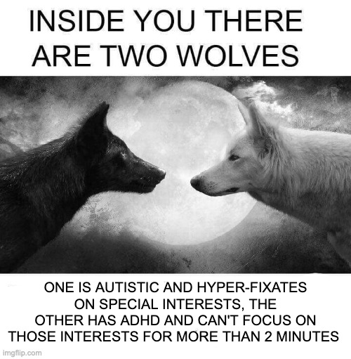 Ah, the wonders of having both | ONE IS AUTISTIC AND HYPER-FIXATES ON SPECIAL INTERESTS, THE OTHER HAS ADHD AND CAN'T FOCUS ON THOSE INTERESTS FOR MORE THAN 2 MINUTES | image tagged in inside you there are two wolves,memes,adhd,autism | made w/ Imgflip meme maker