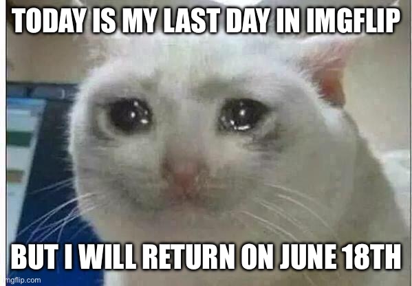 crying cat | TODAY IS MY LAST DAY IN IMGFLIP; BUT I WILL RETURN ON JUNE 18TH | image tagged in crying cat | made w/ Imgflip meme maker