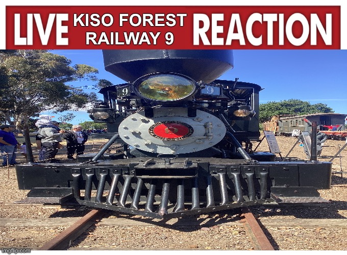 Trin | KISO FOREST RAILWAY 9 | image tagged in live reaction | made w/ Imgflip meme maker