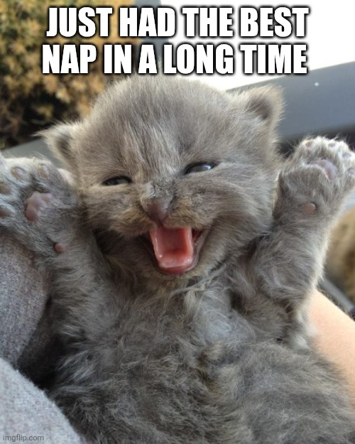 Yay Kitty | JUST HAD THE BEST NAP IN A LONG TIME | image tagged in yay kitty | made w/ Imgflip meme maker