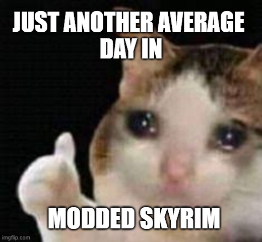 Modded SE | JUST ANOTHER AVERAGE; DAY IN; MODDED SKYRIM | image tagged in approved crying cat | made w/ Imgflip meme maker
