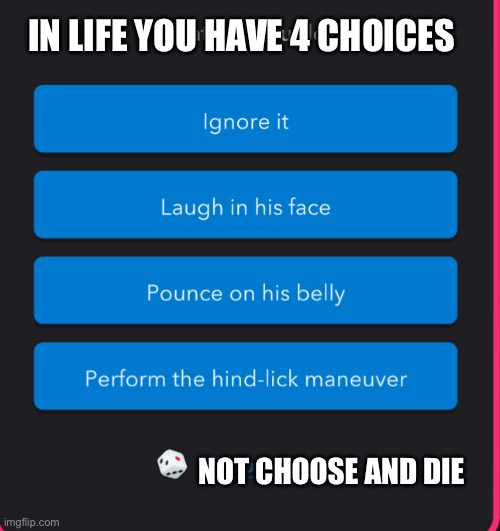 In life you have 4 choices | IN LIFE YOU HAVE 4 CHOICES; NOT CHOOSE AND DIE | image tagged in catlife | made w/ Imgflip meme maker
