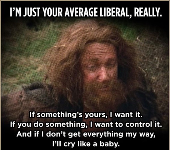 Crybabies | image tagged in liberal privilege,liberal logic,liberal hypocrisy,crybabies,gimme,my way or the highway | made w/ Imgflip meme maker