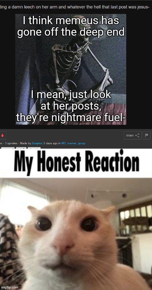 image tagged in my honest reaction cat | made w/ Imgflip meme maker