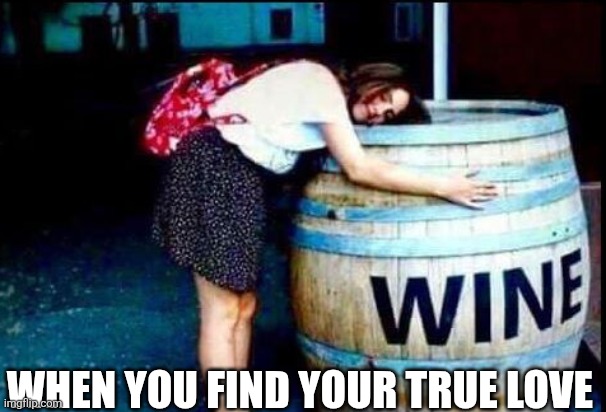 When You Find Your True Love | WHEN YOU FIND YOUR TRUE LOVE | made w/ Imgflip meme maker