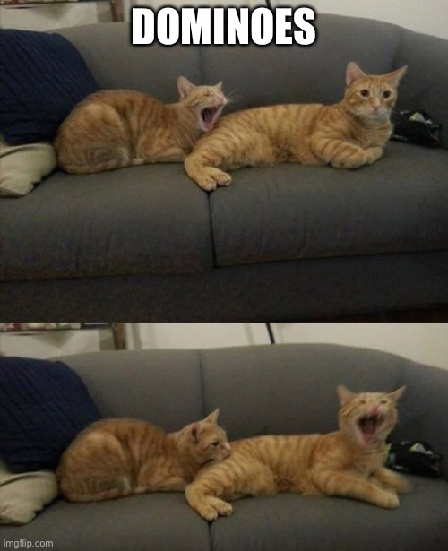 Domino Effect | DOMINOES | image tagged in yawn,yawning,cats,dominoes,domino effect | made w/ Imgflip meme maker