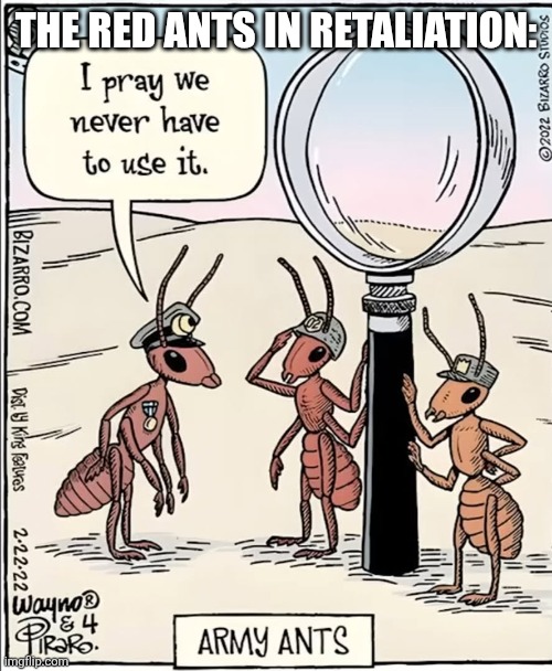 THE RED ANTS IN RETALIATION: | made w/ Imgflip meme maker