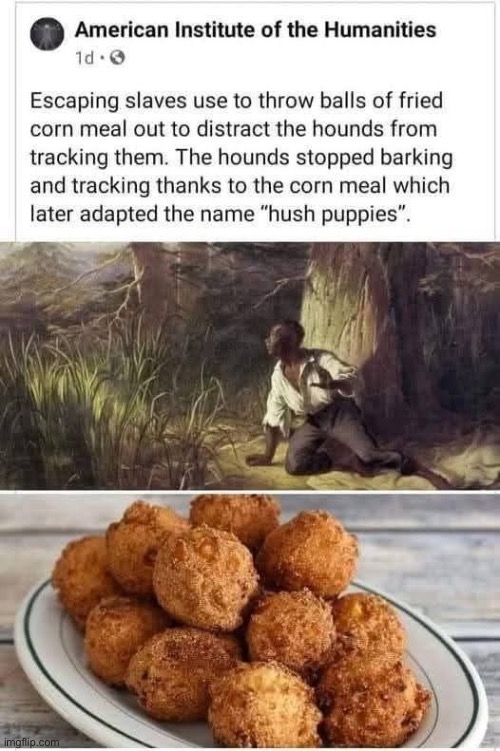 History as it’s told | image tagged in history,puppies,slaves | made w/ Imgflip meme maker