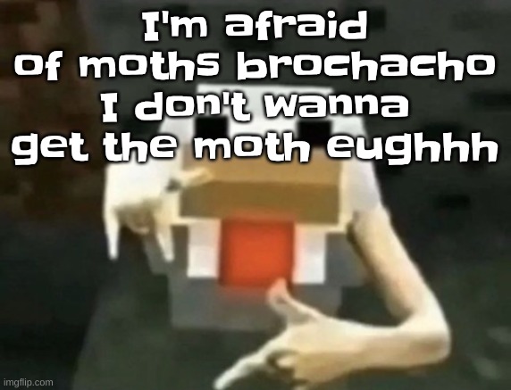 also horrified of butterflies | I'm afraid of moths brochacho I don't wanna get the moth eughhh | image tagged in gangcken | made w/ Imgflip meme maker