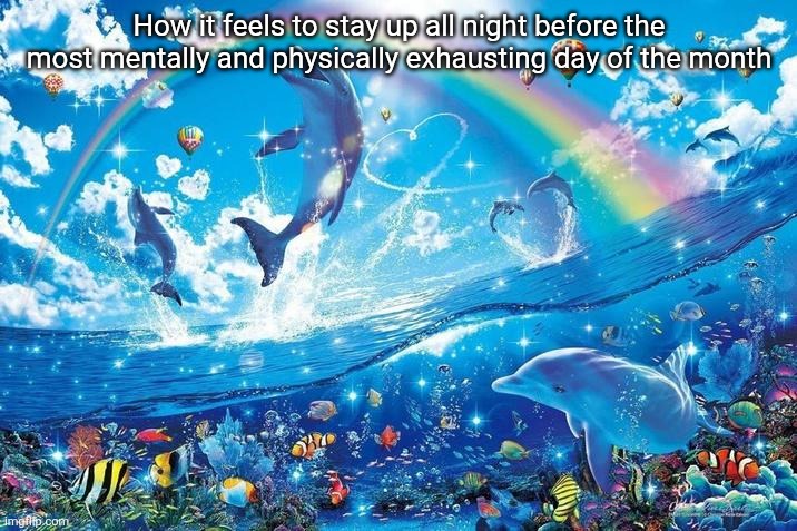 Happy dolphin rainbow | How it feels to stay up all night before the most mentally and physically exhausting day of the month | image tagged in happy dolphin rainbow | made w/ Imgflip meme maker