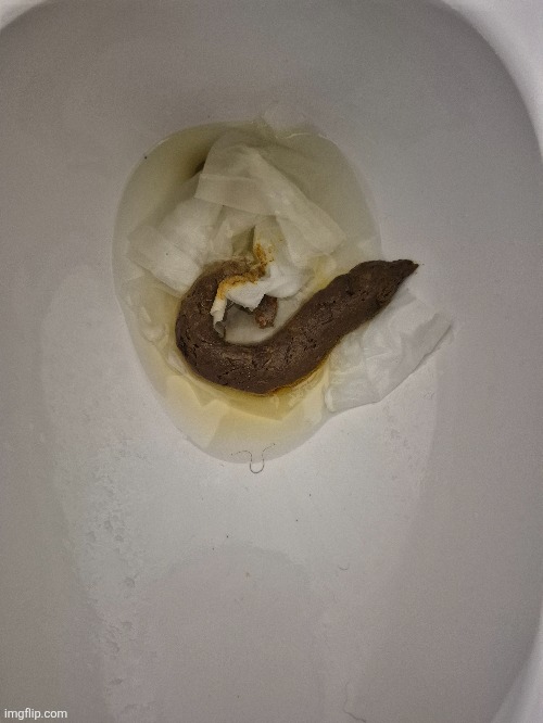 The heck did I just poop out | image tagged in poop,toilet | made w/ Imgflip meme maker