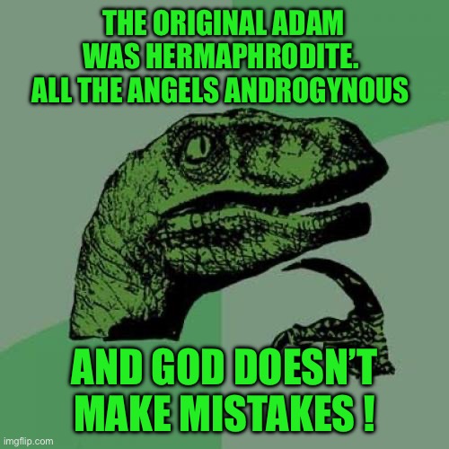 Philosoraptor | THE ORIGINAL ADAM WAS HERMAPHRODITE.  ALL THE ANGELS ANDROGYNOUS; AND GOD DOESN’T MAKE MISTAKES ! | image tagged in memes,philosoraptor | made w/ Imgflip meme maker