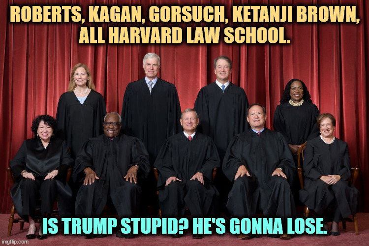 Alito, Kavanaugh and Sotomayor were Yale. Trump's going to lose bigly. | ROBERTS, KAGAN, GORSUCH, KETANJI BROWN,
ALL HARVARD LAW SCHOOL. IS TRUMP STUPID? HE'S GONNA LOSE. | image tagged in supreme court 25 roberts kagan gorsuch ketanji brown harvard,harvard,smart,trump,dumb,loser | made w/ Imgflip meme maker