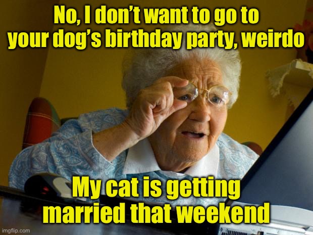 Weirdo | No, I don’t want to go to your dog’s birthday party, weirdo; My cat is getting married that weekend | image tagged in old lady at computer finds the internet | made w/ Imgflip meme maker