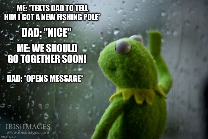 kermit window | ME: *TEXTS DAD TO TELL HIM I GOT A NEW FISHING POLE*; DAD: "NICE"; ME: WE SHOULD GO TOGETHER SOON! DAD: *OPENS MESSAGE* | image tagged in kermit window | made w/ Imgflip meme maker