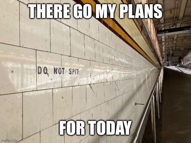 THERE GO MY PLANS; FOR TODAY | image tagged in idk what to put here | made w/ Imgflip meme maker
