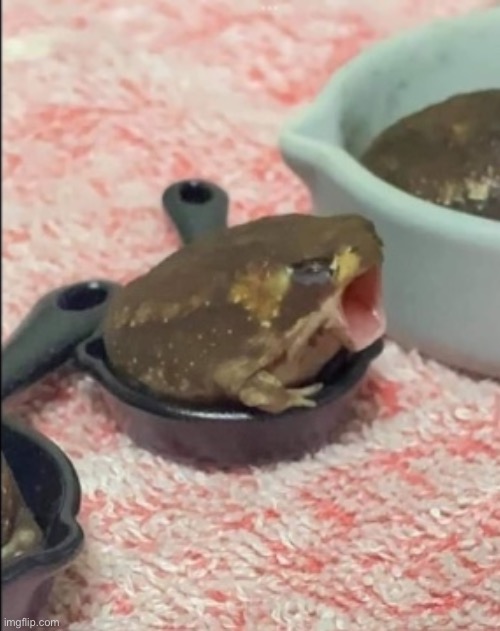 I revive the stream with a screaming frog | image tagged in scream | made w/ Imgflip meme maker