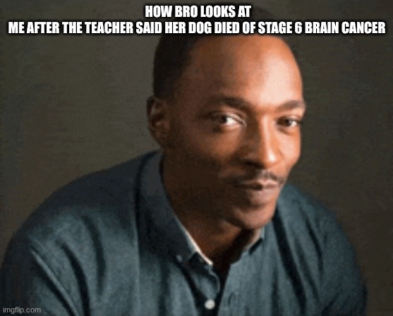 HOW BRO LOOKS AT ME AFTER THE TEACHER SAID HER DOG DIED OF STAGE 6 BRAIN CANCER | made w/ Imgflip meme maker