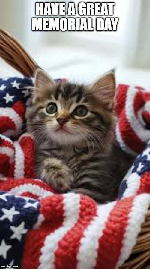 The cute kitten says "Have a great Memorial Day". | HAVE A GREAT MEMORIAL DAY | image tagged in cats,kitten,memorial day,american flag,flag,remember | made w/ Imgflip meme maker