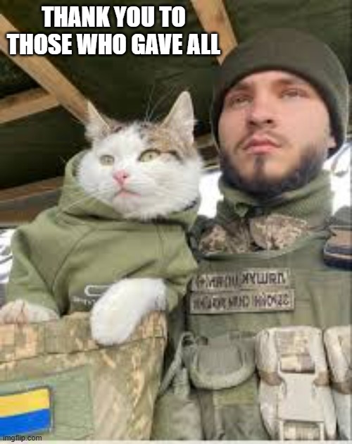 Cat and soldier thank all who gave their lives. - Memorial Day - | THANK YOU TO THOSE WHO GAVE ALL | image tagged in cats,kitten,soldier,memorial day,remember | made w/ Imgflip meme maker