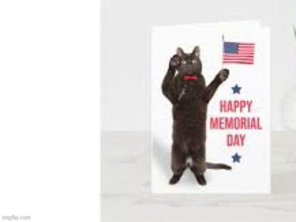 Happy Memorial Day from my cat to all who gave all. | image tagged in cat,kitten,memorial day,salute,cat meme | made w/ Imgflip meme maker