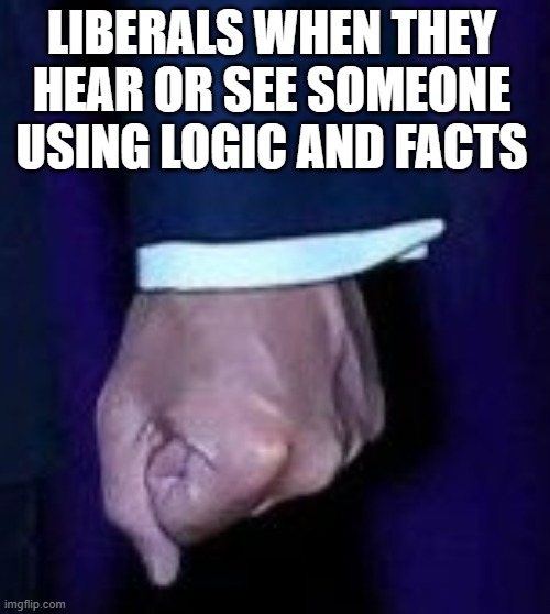 Lib Fist | LIBERALS WHEN THEY HEAR OR SEE SOMEONE USING LOGIC AND FACTS | image tagged in macron fist | made w/ Imgflip meme maker