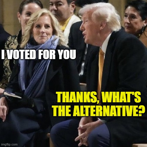 Jill Biden smiled at Trump | I VOTED FOR YOU THANKS, WHAT'S THE ALTERNATIVE? | image tagged in jill biden smiled at trump | made w/ Imgflip meme maker