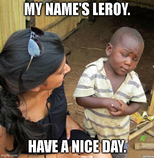 black kid | MY NAME'S LEROY. HAVE A NICE DAY. | image tagged in black kid | made w/ Imgflip meme maker