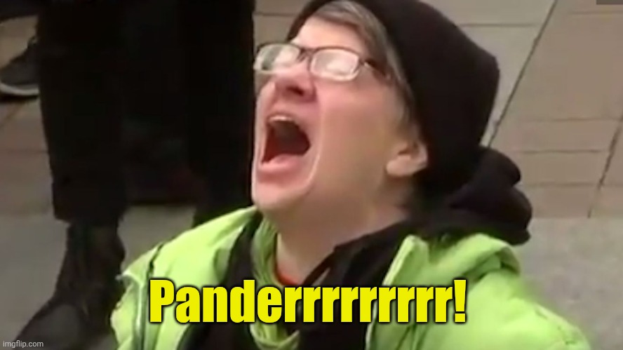 Screaming Liberal  | Panderrrrrrrrr! | image tagged in screaming liberal | made w/ Imgflip meme maker