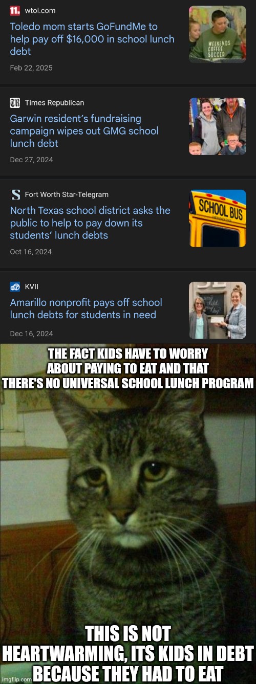 THE FACT KIDS HAVE TO WORRY ABOUT PAYING TO EAT AND THAT THERE'S NO UNIVERSAL SCHOOL LUNCH PROGRAM; THIS IS NOT HEARTWARMING, ITS KIDS IN DEBT BECAUSE THEY HAD TO EAT | image tagged in memes,depressed cat | made w/ Imgflip meme maker