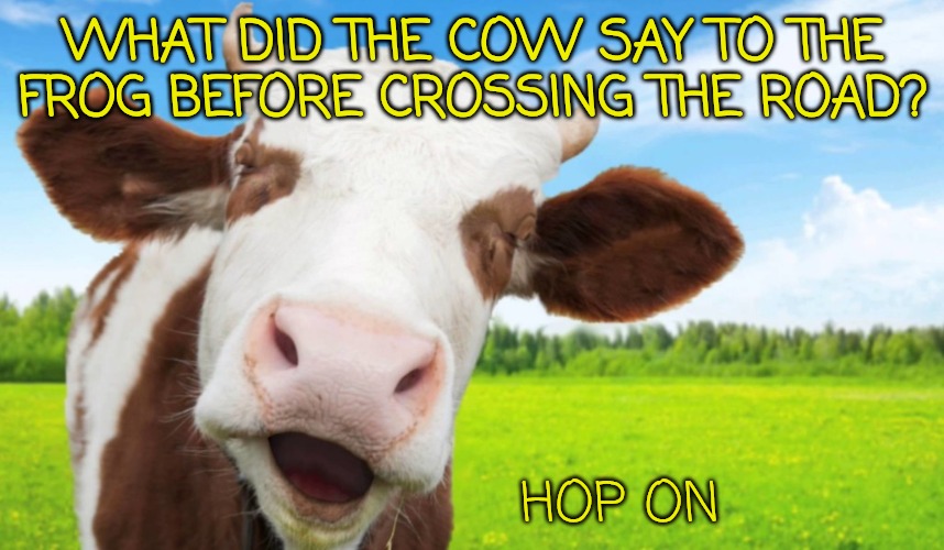 Laughing cow | WHAT DID THE COW SAY TO THE FROG BEFORE CROSSING THE ROAD? HOP ON | image tagged in laughing cow | made w/ Imgflip meme maker