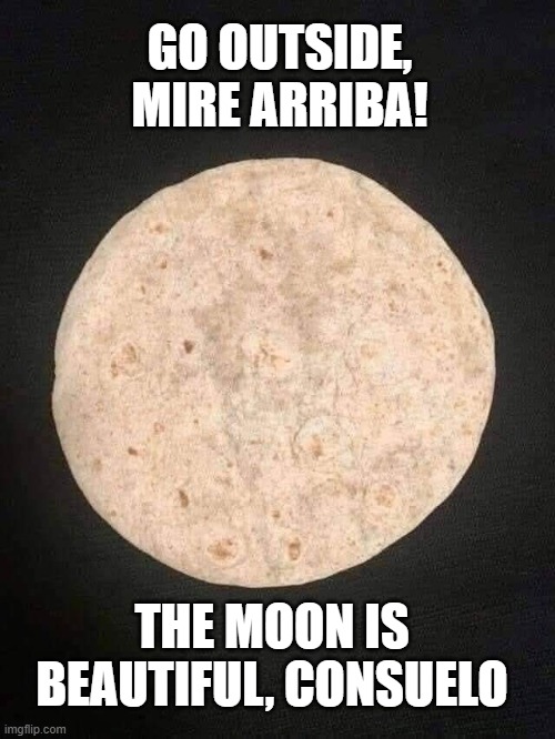 When you live in Tortilla Flats | GO OUTSIDE, MIRE ARRIBA! THE MOON IS BEAUTIFUL, CONSUELO | image tagged in vince vance,tortilla,flats,moon,memes,soft taco | made w/ Imgflip meme maker