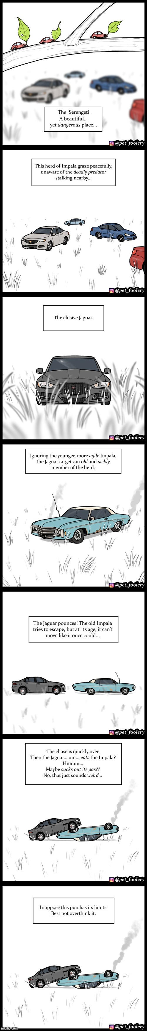image tagged in cars,chevrolet,impala,jaguar,hunting,weird | made w/ Imgflip meme maker